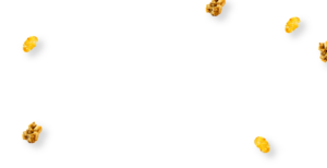 White Background with random pieces of cereal
