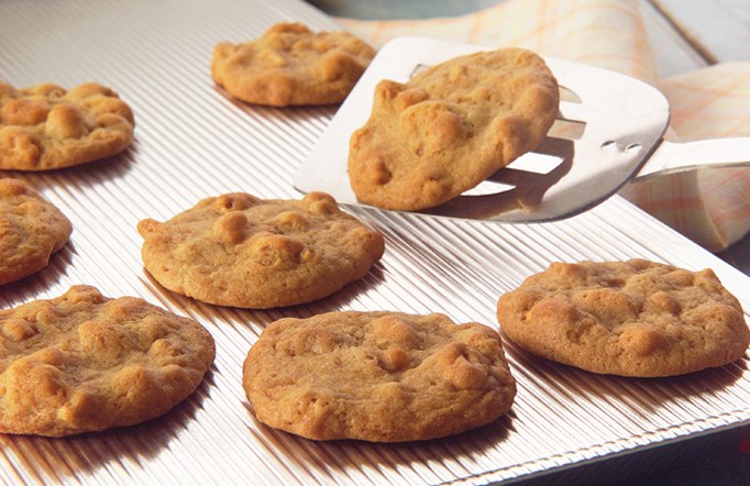 Sugar Crisp Puffed Wheat Cereal Cookies on a silver drying rack.