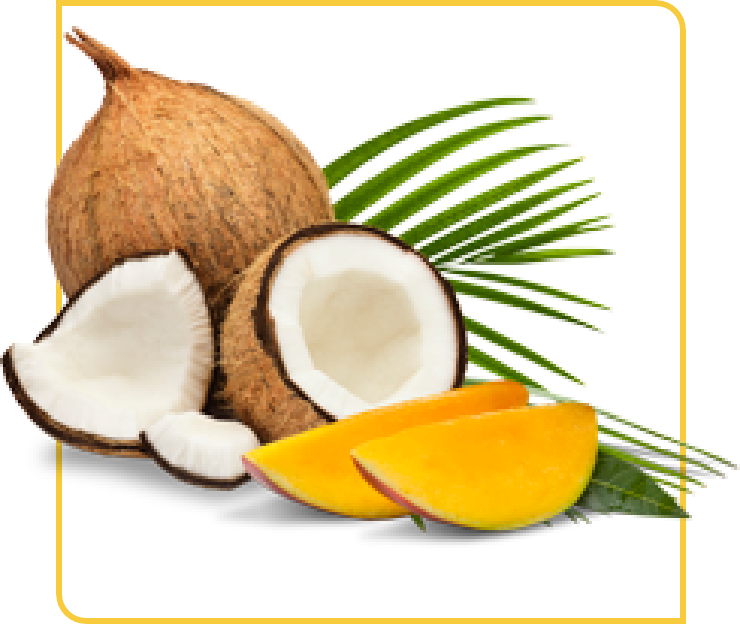 A coconut, mango slices and a palm leaf.